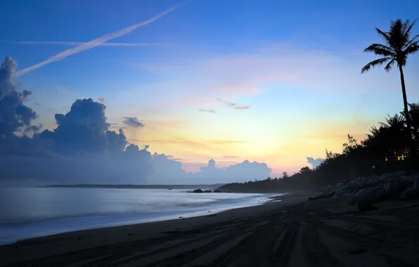 Sea, beach, landscape, sunset