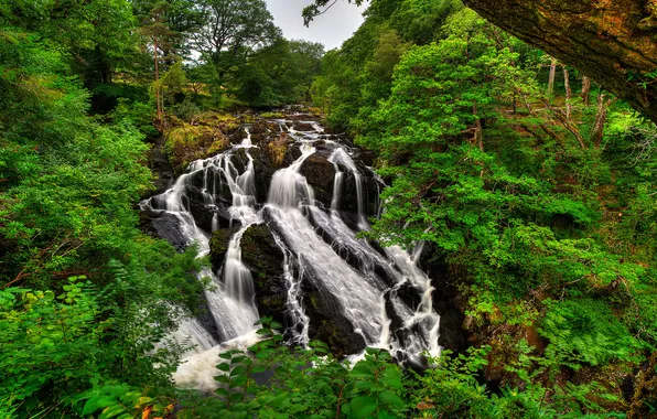 Picture forest, trees, stones, waterfall, stream, UK, Snowdonia