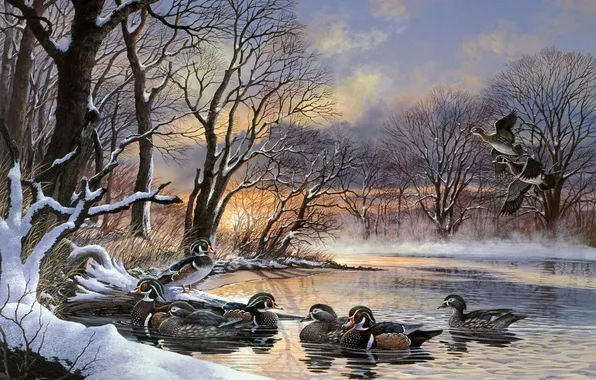 Winter, sunset, lake, dawn, duck, painting, a flock of ducks, polynya