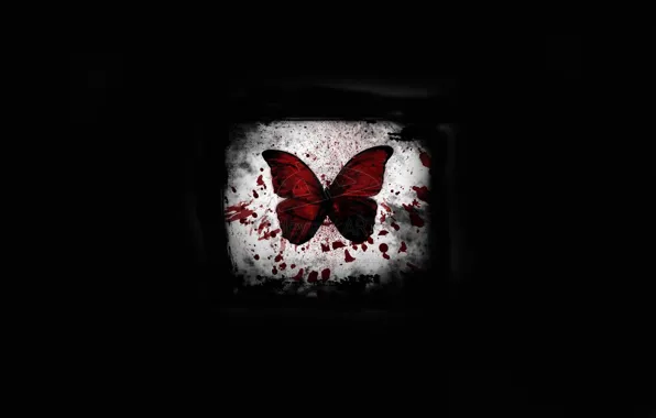Picture light, butterfly, blood, black background, spot