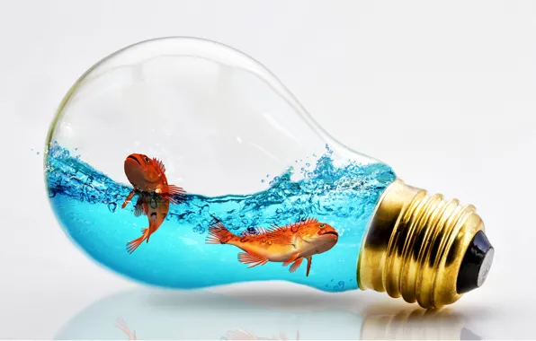 Picture light bulb, fish, photoshop, different