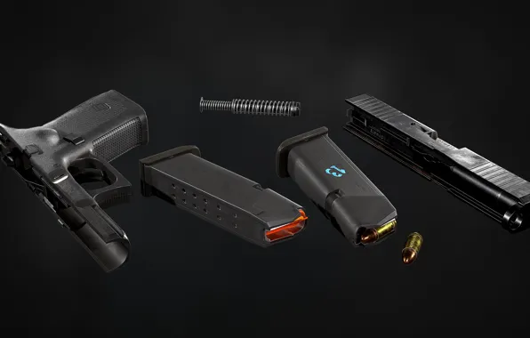 Austria, Glock 21, 45ACP, Self-loading pistol