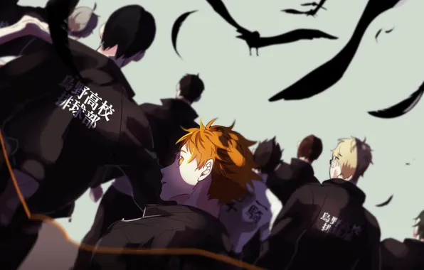 Download wallpaper team, guys, Volleyball, Haikyuu!!, Karasuma, section ...