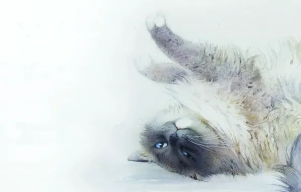 Cat, cat, picture, art, watercolor, lies, stretching