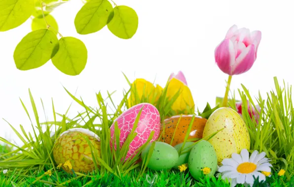 Flowers, eggs, Easter, tulips, Easter