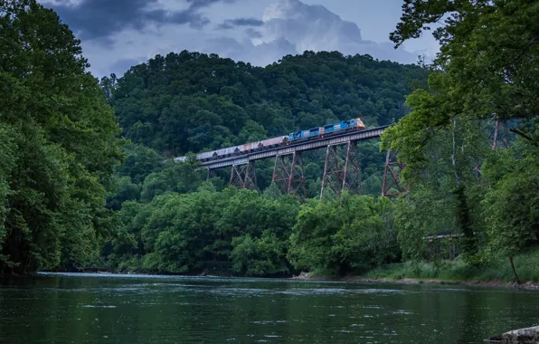 Picture forest, trees, bridge, river, train, overpass, VA, viaduct