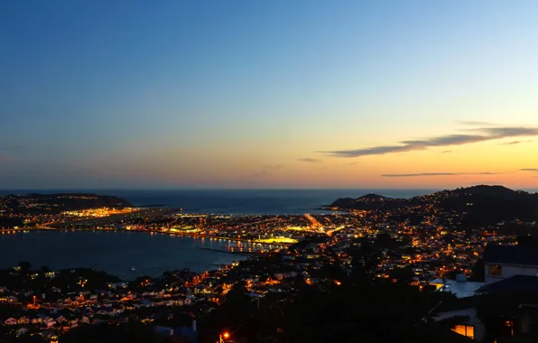 Sea, night, lights, coast, home, New Zealand, panorama, Wellington