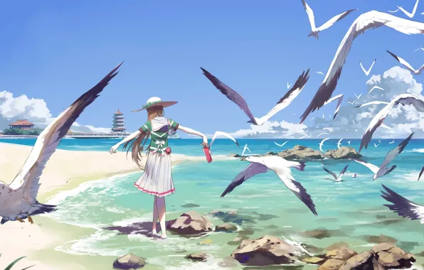 Picture sea, summer, the sky, stones, shore, back, seagulls, wings