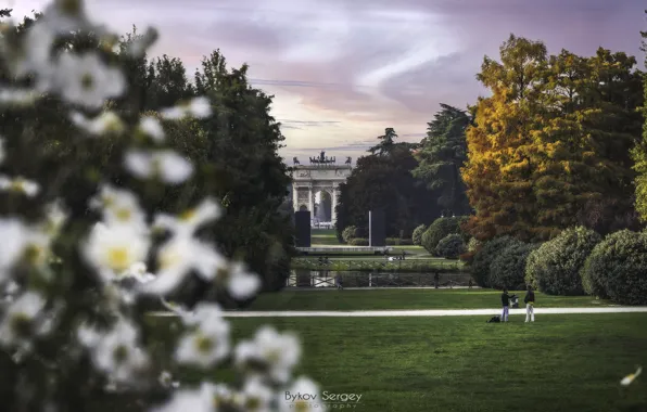 Picture trees, landscape, the city, Park, Italy, Milan, lawn, Sergey Bykov