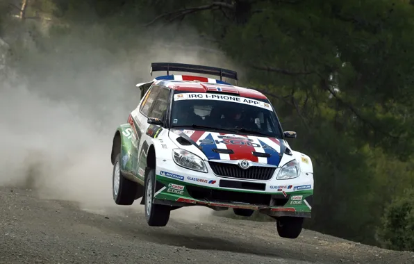 Auto, Speed, Lights, Rally, Rally, Skoda, Fabia, In The Air