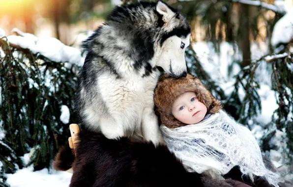 Winter, snow, child, dog, friendship, husky