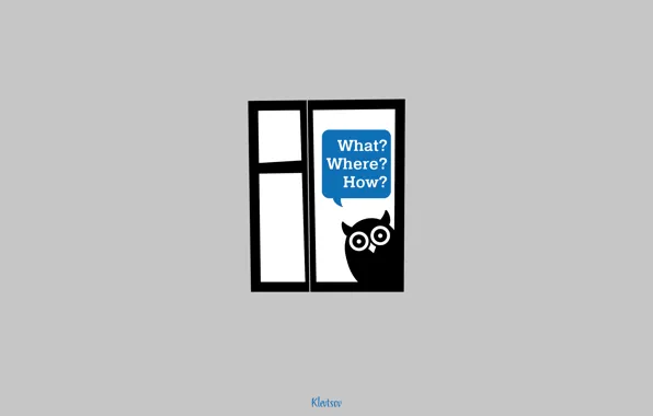 Picture owl, window, window, owl, what, owl, where, how