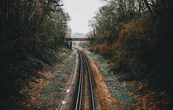 Picture autumn, trees, bridge, the way, railroad