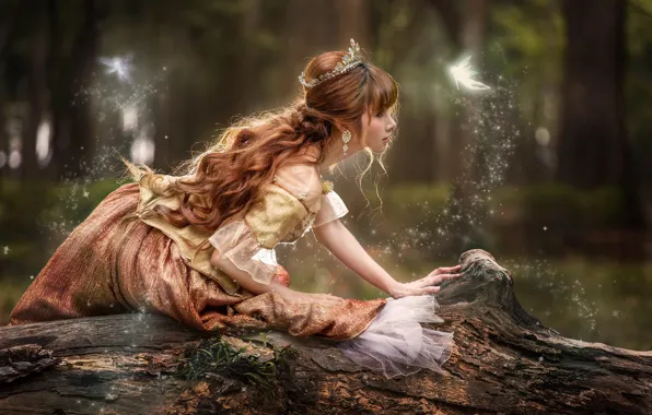 Picture forest, girl, tale, crown, red, log, curls, FAE