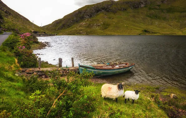 Greens, grass, flowers, mountains, lake, stones, shore, boat