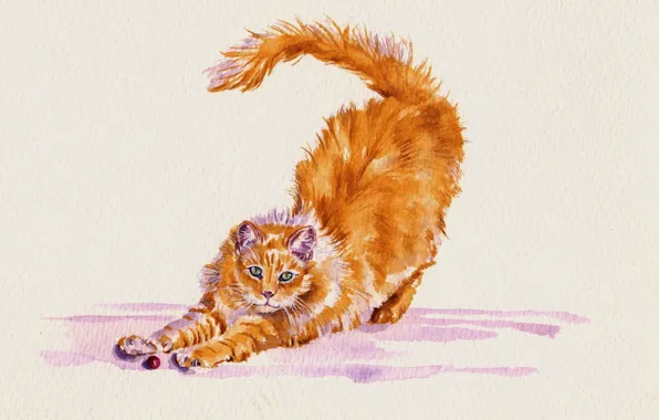 Cat, cat, watercolor, stretching