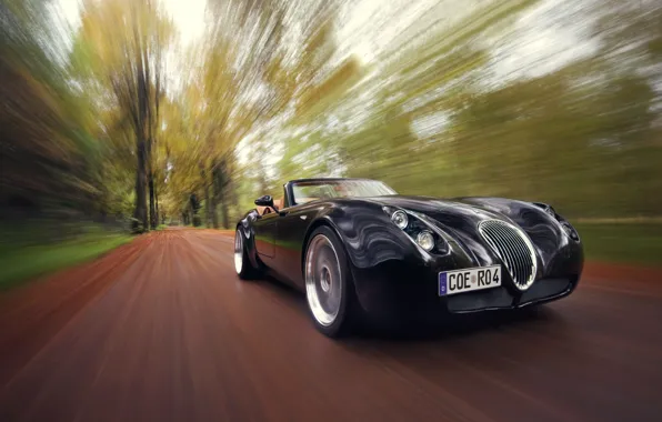 Forest, Car, Wiesmann Roadster MF4/MF4-S