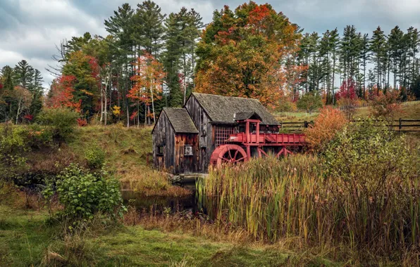 Picture nature, mill, house, water mill