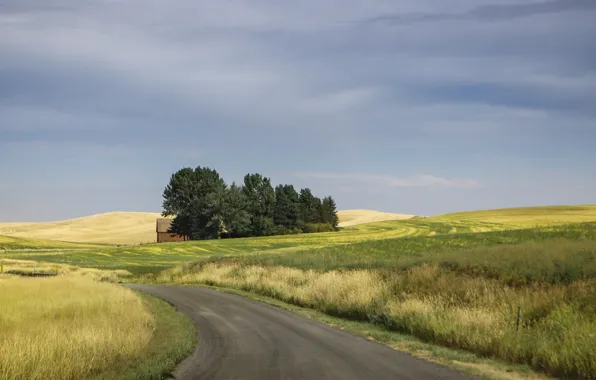 Road, cloudy, farmland, countryside scene