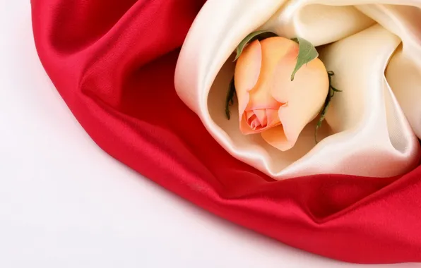 Picture flower, flowers, roses, silk, Bud, fabric, silk