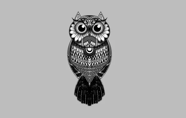 Owl, bird, patterns, light background, owl