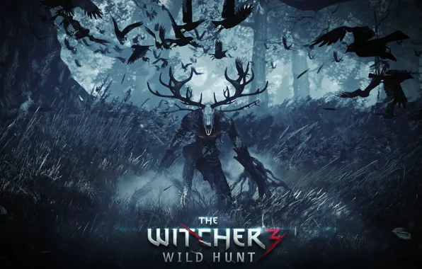 Picture The Witcher, Witcher, The Witcher 3 Wild Hunt, The Witcher 3 Wild Hunt