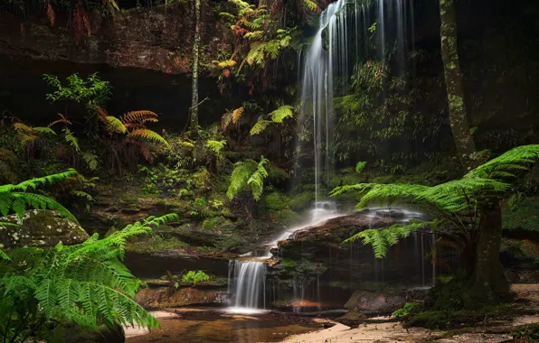 Picture greens, forest, waterfall, stream