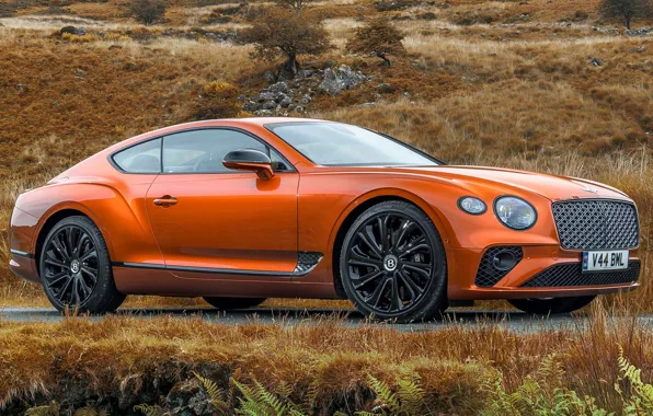 Picture Bentley, Continental GT, exterior, Mulliner, 2022