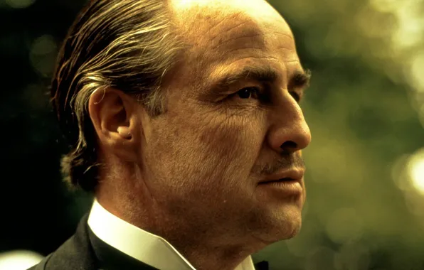 Picture actor, The Godfather, Marlon Brando, character