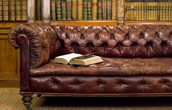 Old, style, sofa, books, book, library, Antiques