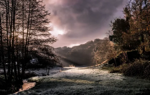 Picture trees, landscape, nature, sun rays, frost, creeks