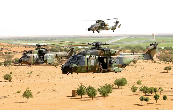 Picture Spain, Spain, Military helicopter, Airbus NH90, Military helicopters, NH90 Helicopters