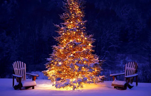 Winter, forest, snow, lights, lights, holiday, tree, Christmas