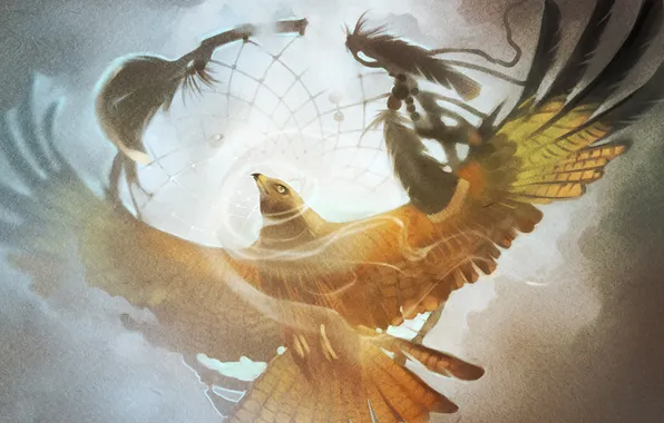 The sky, freedom, bird, eagle, wings