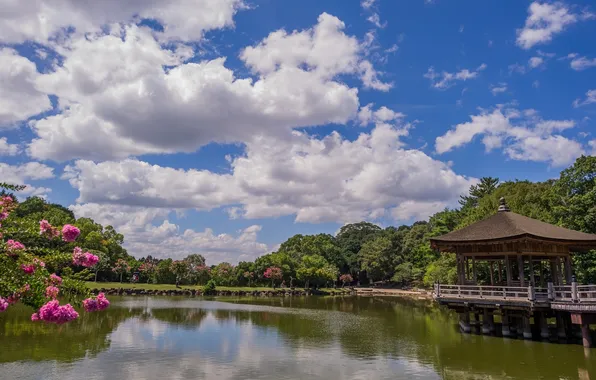 Clouds, trees, pond, Japan, gazebo, pavilion, Ukimido Pavilion, Nara Park