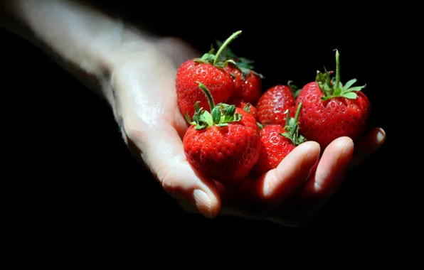 Picture berries, hands, strawberry, black background, a handful, a handful