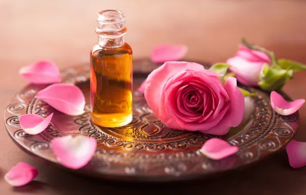 Flowers, roses, petals, still life, pink flowers, spa