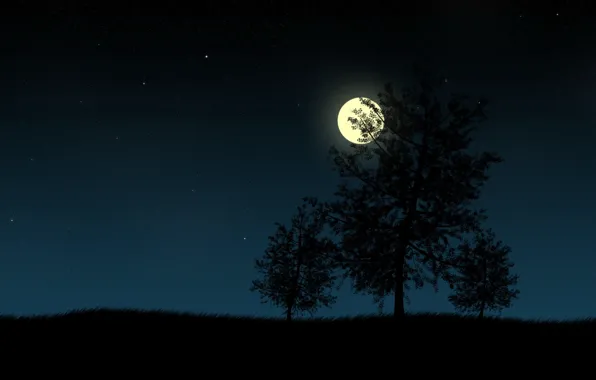 Night, the moon, vector, Trees