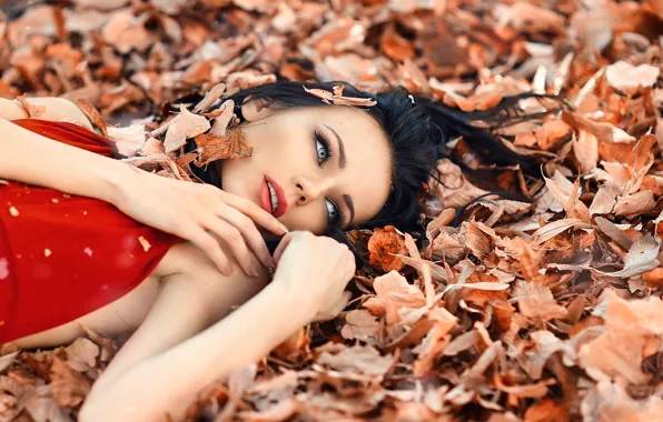 Leaves, girl, makeup, Alessandro Di Cicco, Perfect Autumn