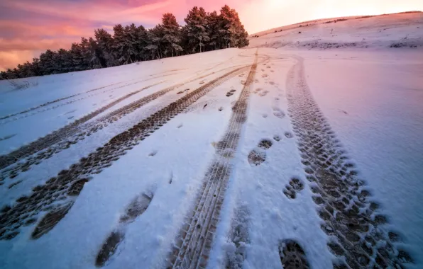 Field, snow, trail