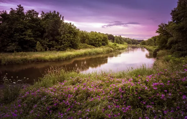 Picture summer, nature, river