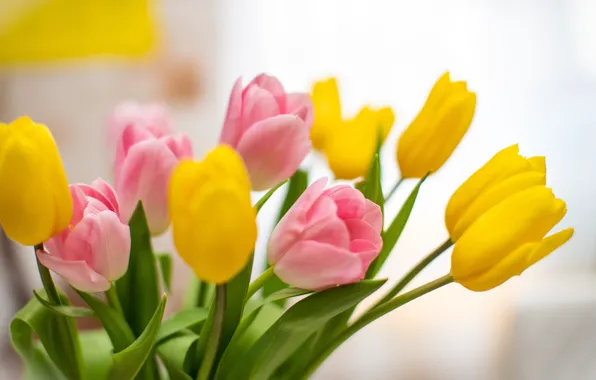 Picture flowers, yellow, bouquet, tulips, pink