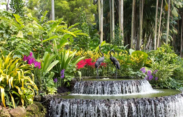 Trees, flowers, birds, waterfall, garden, Singapore, fountain, orchids