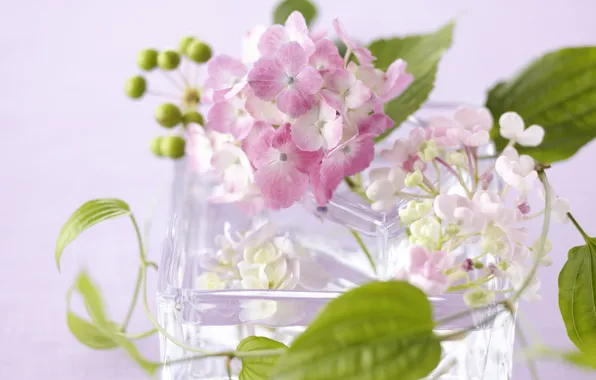 Picture glass, leaves, flowers, petals, vase