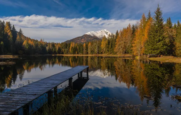 Autumn, forest, lake, shore, pierce