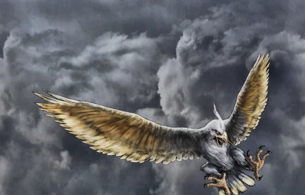 Flight, clouds, eagle, figure
