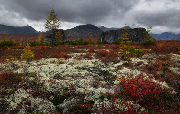 Autumn, mountains, stones, overcast, hills, vegetation, foliage, ate