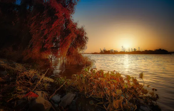 Picture autumn, sunset, Portugal, Escaroupim