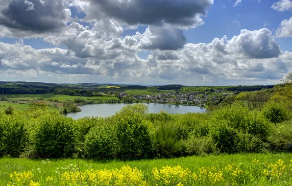 Picture field, forest, the sky, clouds, trees, landscape, flowers, nature