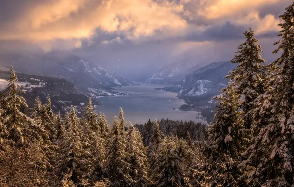 Picture winter, forest, clouds, light, snow, mountains, fog, shore